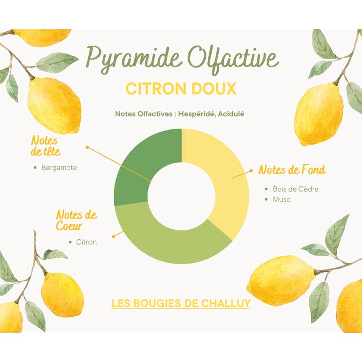 LES BOUGIES DE CHALLUY - Wholesale Jar/Filled Candle - “SWEET LEMON” CANDLE MADE IN NIÈVRE1