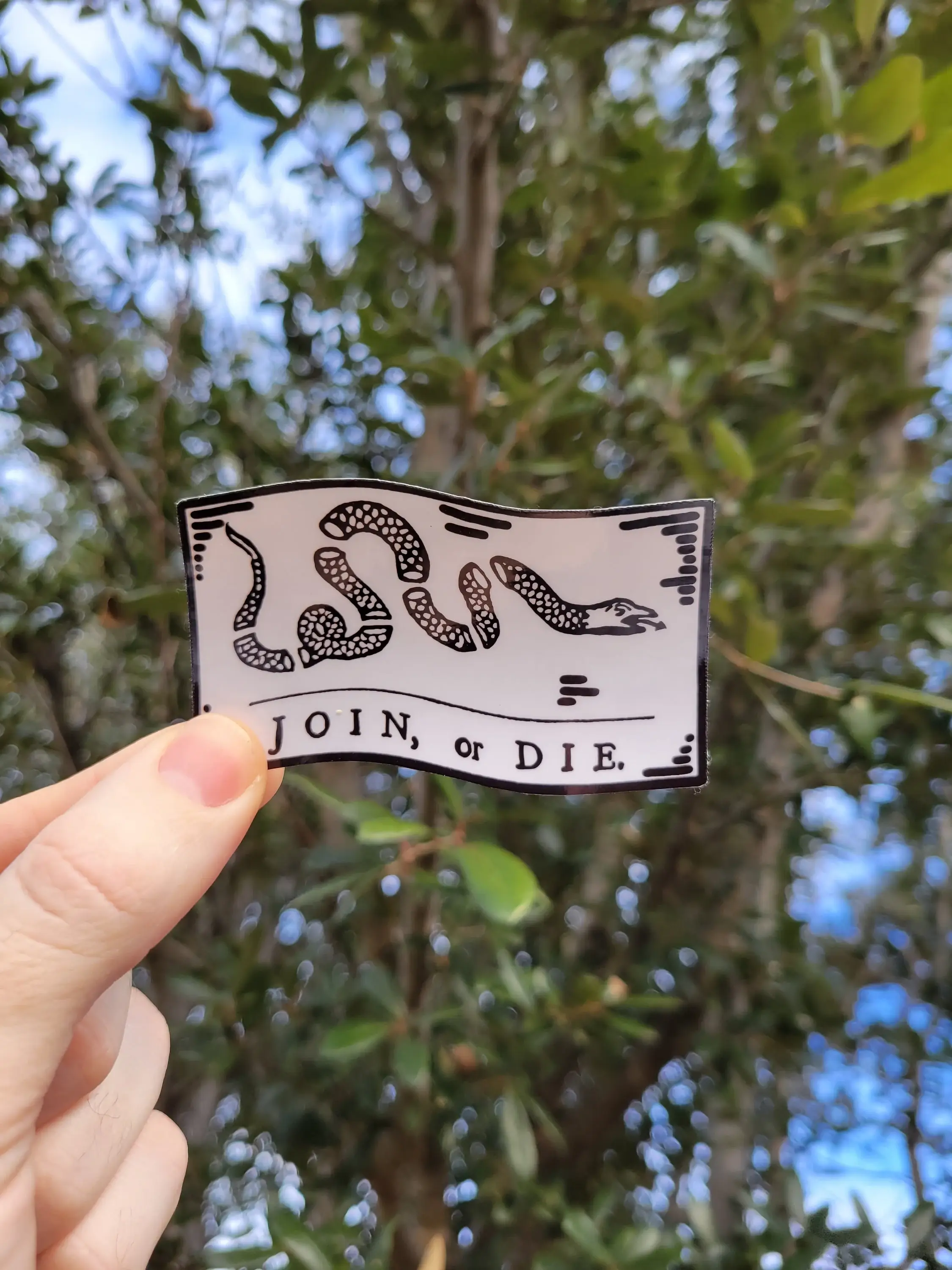 Pilgrim Trading Post - Wholesale Sticker - Join or Die Flag Sticker | Revolutionary War1