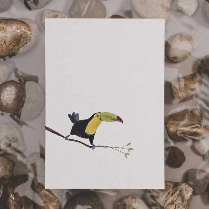 Vissers-toekan | Ansichtkaart voor wholesale door tucán y limón