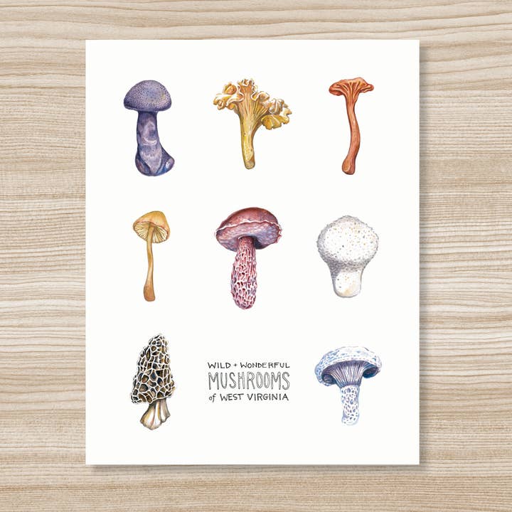 Mushrooms of West Virginia Watercolor Art Print for wholesale by Rosalie Haizlett Illustration