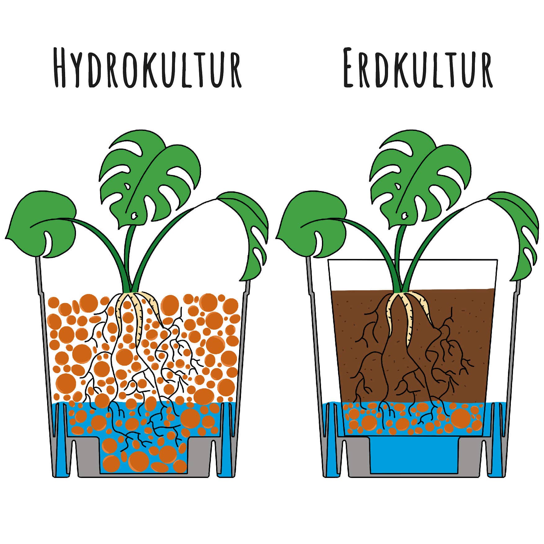 Io Nova – Großhandel Blumentopf – FlexiFlora – Modulares Pflanzsystem | 16er Set6