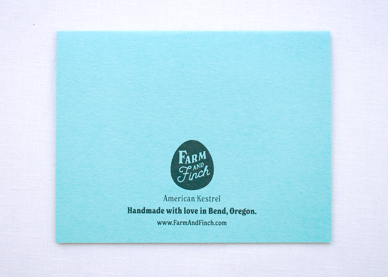 Farm and Finch Creative - Wholesale Everyday Greeting Card - American Kestrel Card6