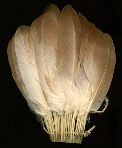 Zucker Feather Products - Wholesale Craft supplies - Pigeon Cosse Fan Trim - Natural