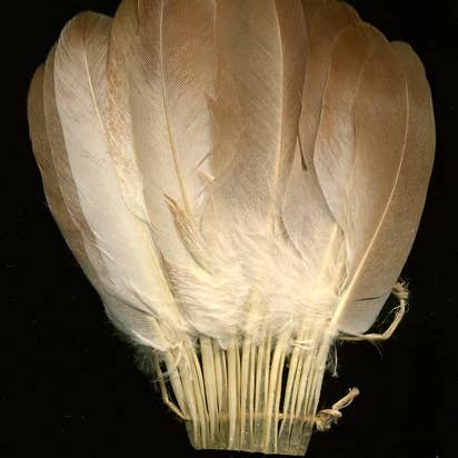 Zucker Feather Products - Wholesale Craft supplies - Pigeon Cosse Fan Trim - Natural0