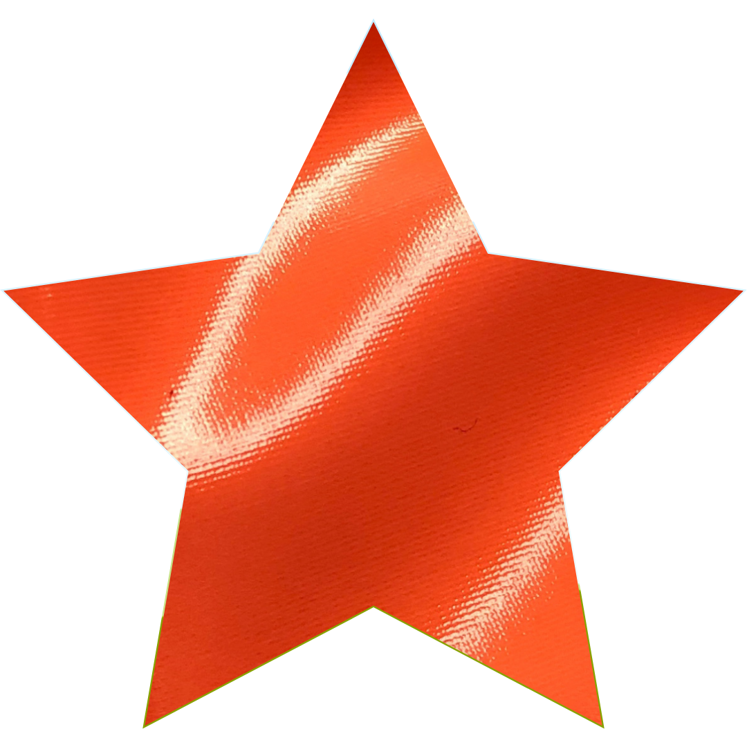 Candyland - Wholesale Two Piece Swimsuit - Women's - Bikini in Vinyl6