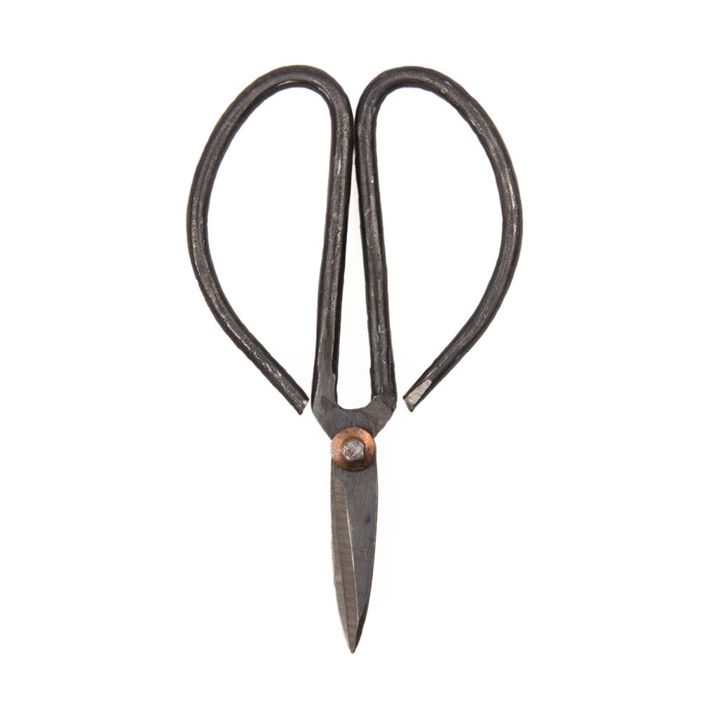 Chive - Wholesale Garden Tool - Edward Plant Scissors/ Gardening 
Plant Accessories4