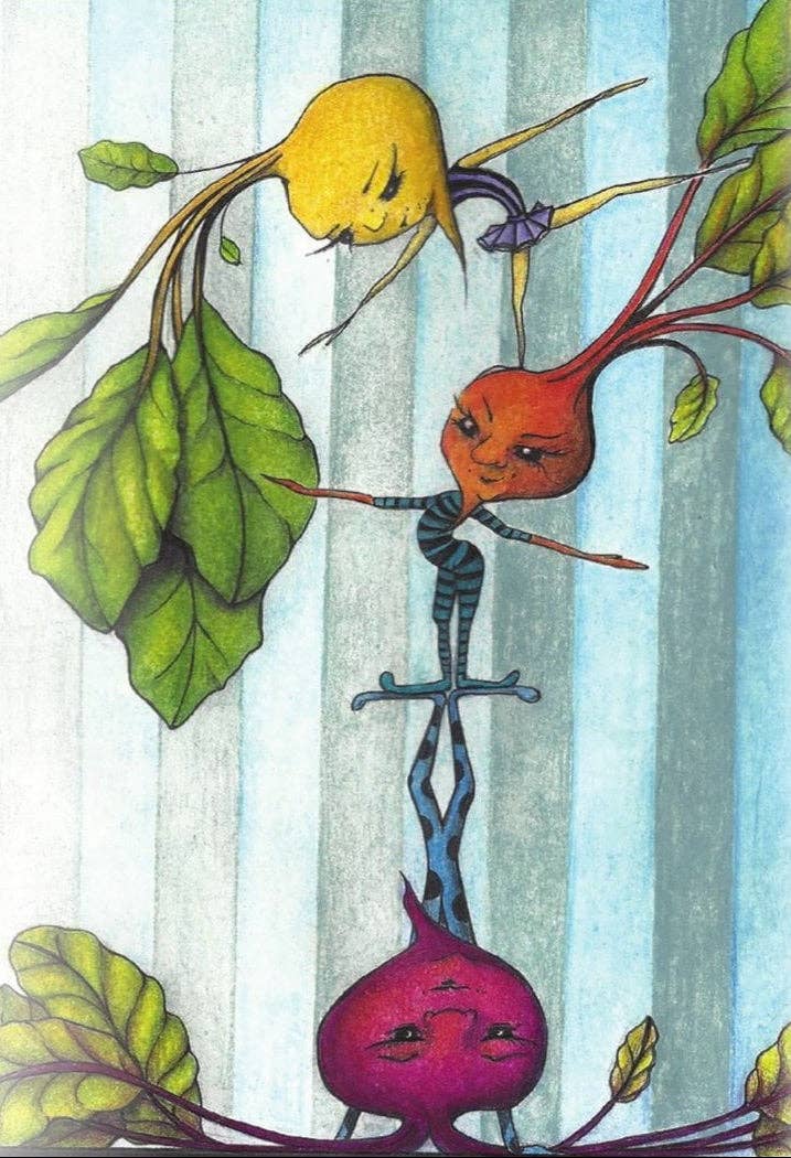 Sow True Seed - Wholesale Plant Seeds - Beet Seeds - Rainbow Blend2