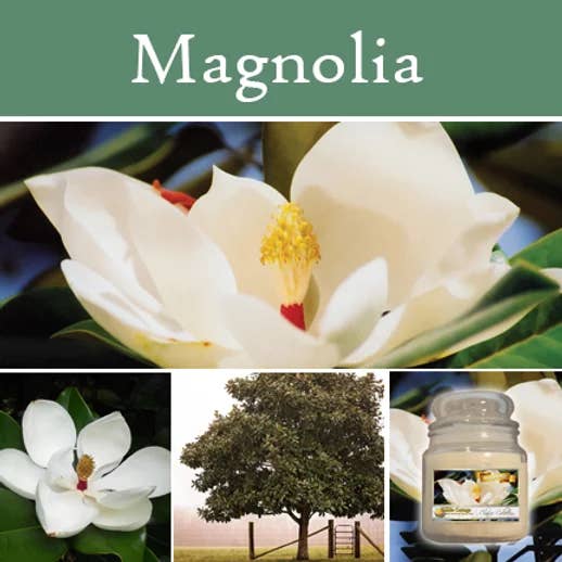 Magnolia Large Apothecary for wholesale by The Candle Cottage & DUOS Dual Fragrance Candles