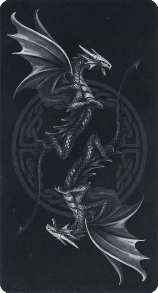 Cardshouse – wholesale Tarot-kort – Anne Stokes Dragon Tarotkortlek Fournier6
