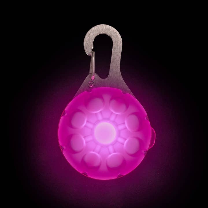 Pet Palette Distribution - Wholesale Pet Collar - Cat/Dog - Nite Ize SpotLit® Rechargeable Collar Light - Pink4