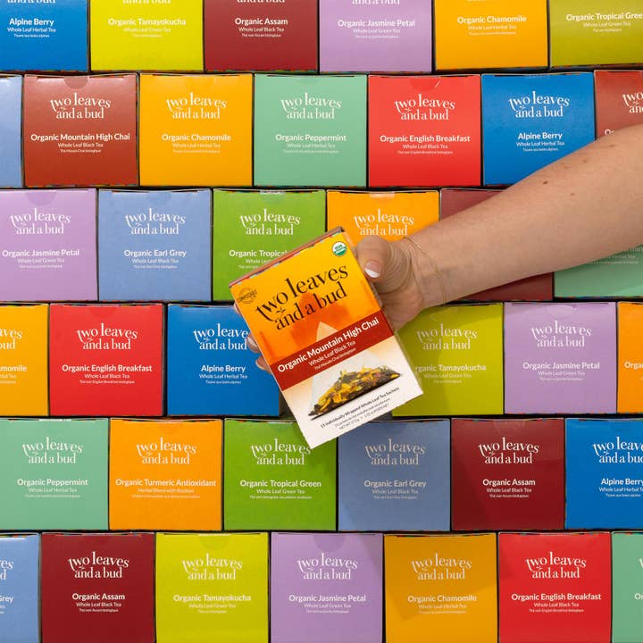 Two Leaves and a Bud - Wholesale Tea Bags - Two Leaves Retail Box Starter Kit2