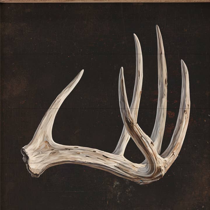 Antler Black and other Purchase Wholesale antler. Free Returns & Net 60 Terms on Faire trending on Faire.