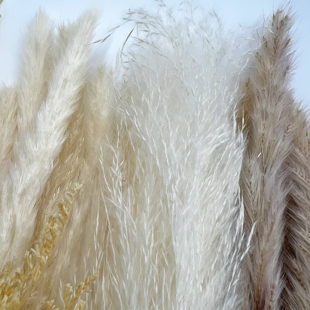 2626 Designs - Wholesale Dried/Pressed Flowers - Real Preserved Mixed Bouquets Mix 8 Small - Med - Large3