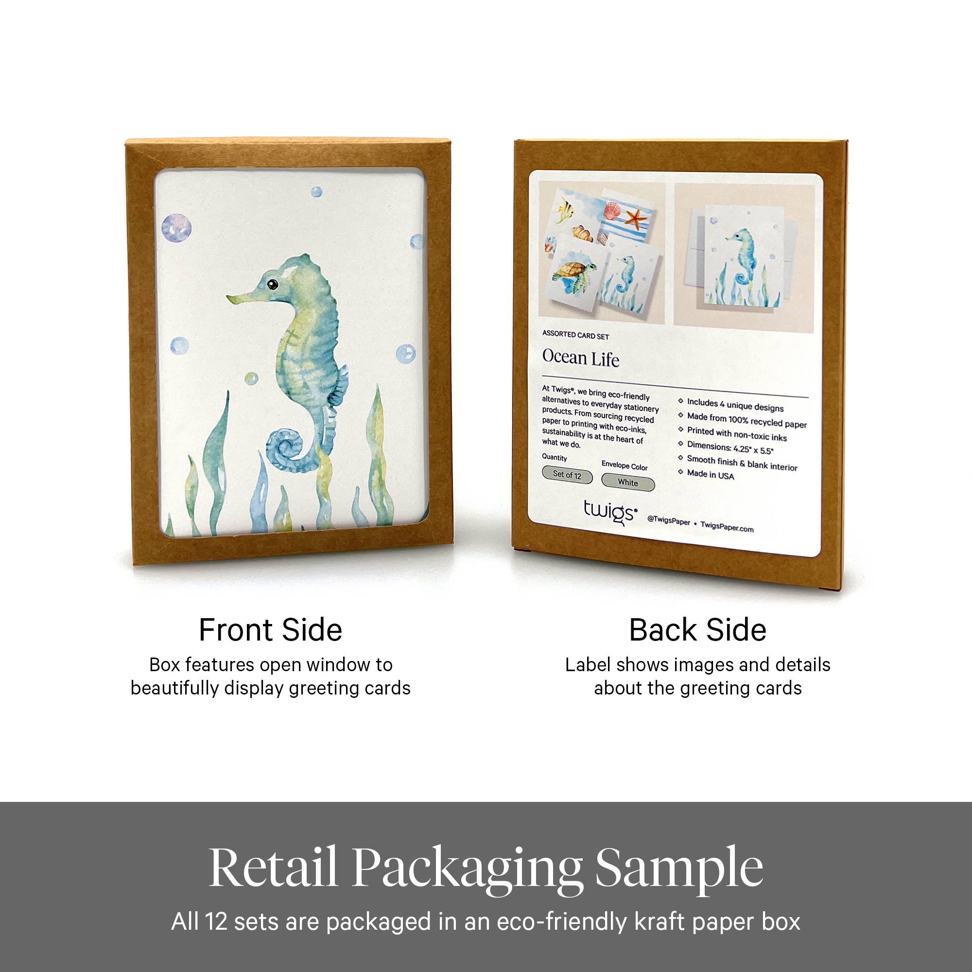 Twigs Paper - Wholesale Stationery/Notecard Set - Ocean Life Greeting Card Set | Assorted Notecards2