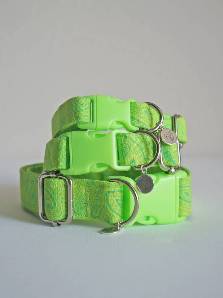 Neon Groove Dog Collar for wholesale by kiwi & WILLOW