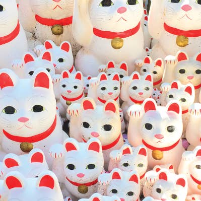 Views of Tokyo for wholesale by Glitter Bones Boutique