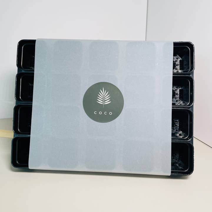 Coco and Palm Trees - Wholesale Decorative Tray - Black Mini Tray Set