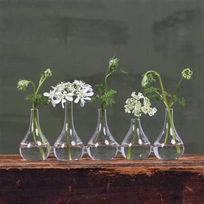 HomArt - Wholesale Vase - Quintet Glass Vase1