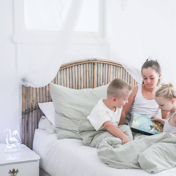 Luminous Distribution – Großhandel Nachtlicht – Kinder & Baby – Duski Dream Light LED-Nachtlicht - Dinosaurier - Plug in7