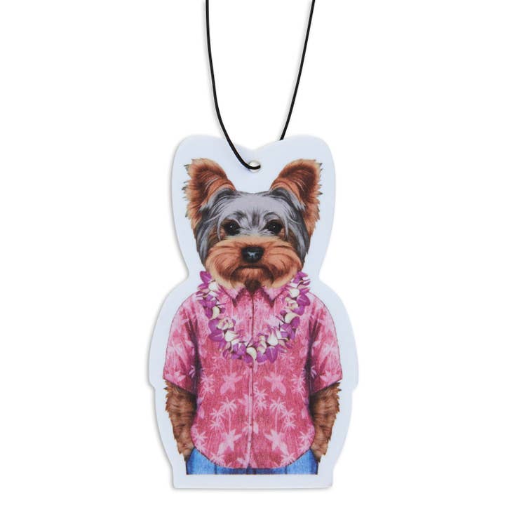 Pacote de 12 Ambientadores Yorkie In Havai por atacado de Fresh Fresheners