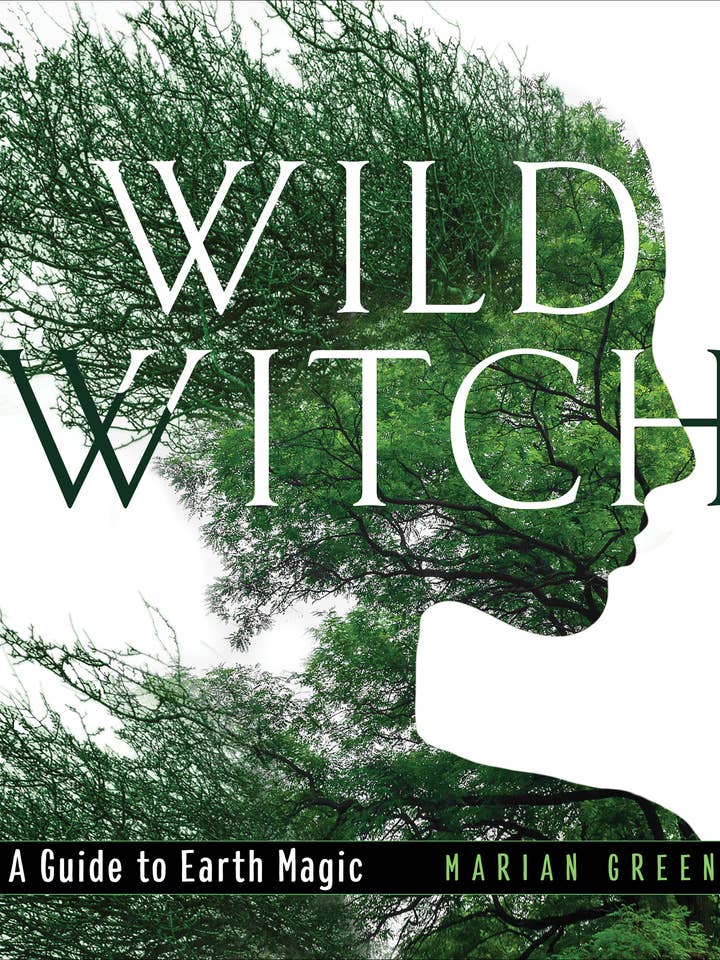 Wild Witch: A Guide to Earth Magic for wholesale by Red Wheel/Weiser LLC