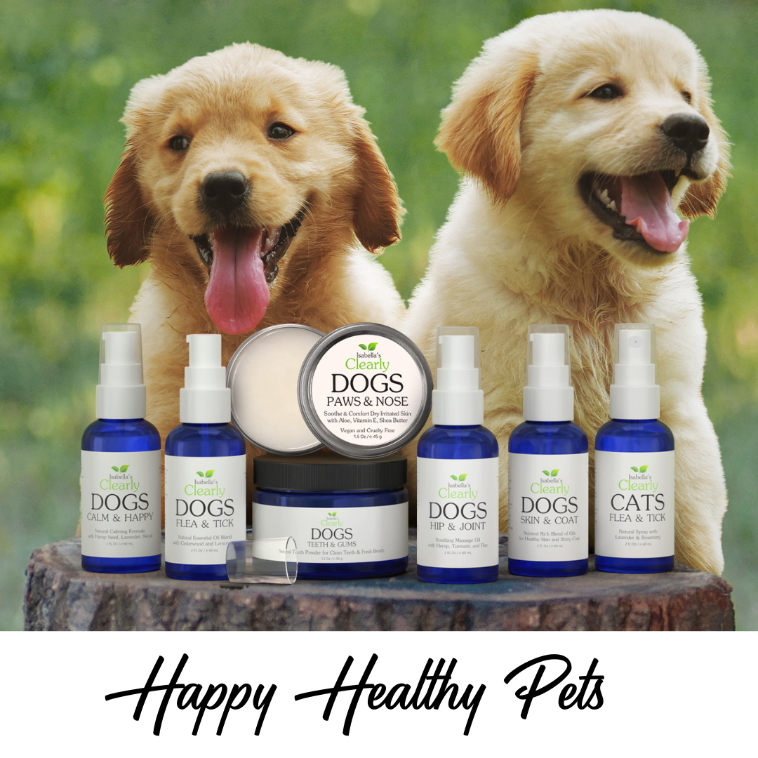 Isabella's Clearly - Wholesale Pet Toothpaste - Dog - TEETH & GUMS for Dogs, Natural Toothpaste Powder8