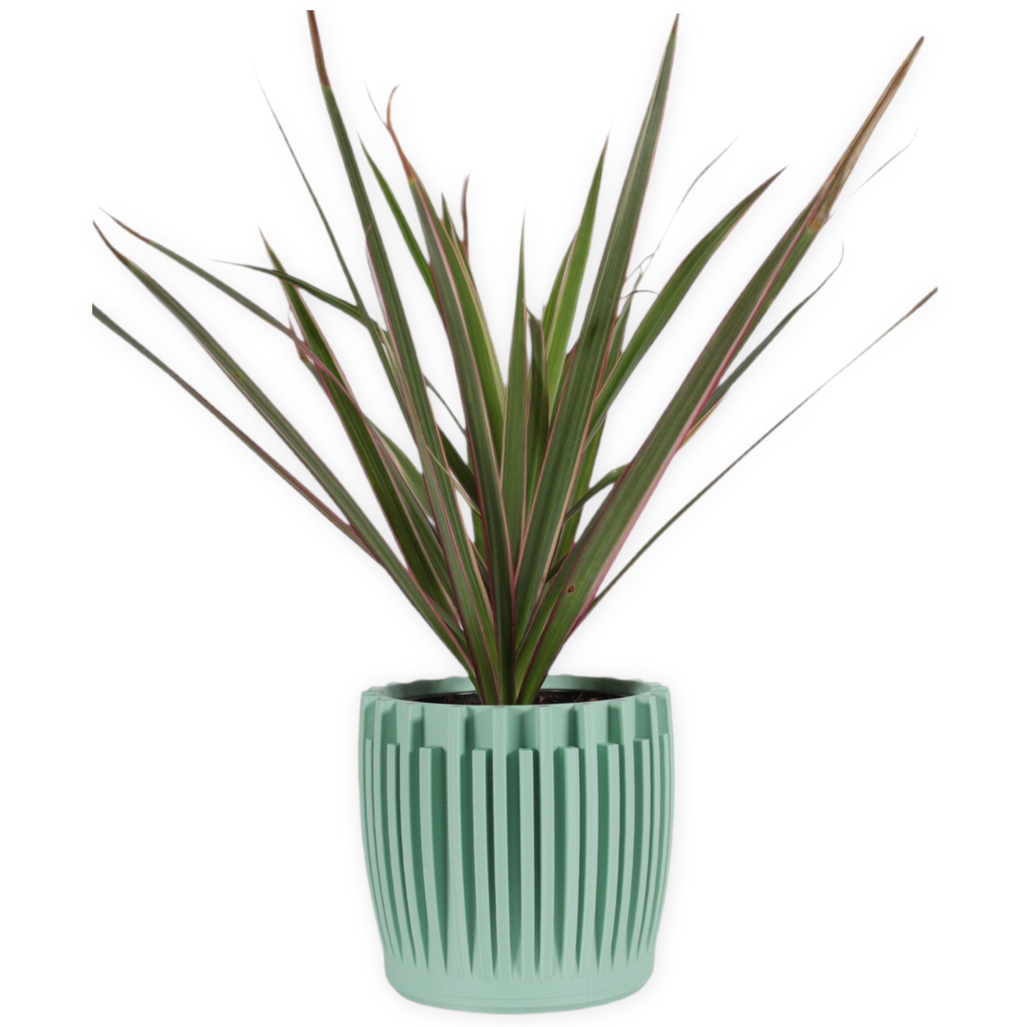 Leafprints.3d - Wholesale Plant Pot - The Leaf – 3 Inch Cover Pot (No Drainage)5