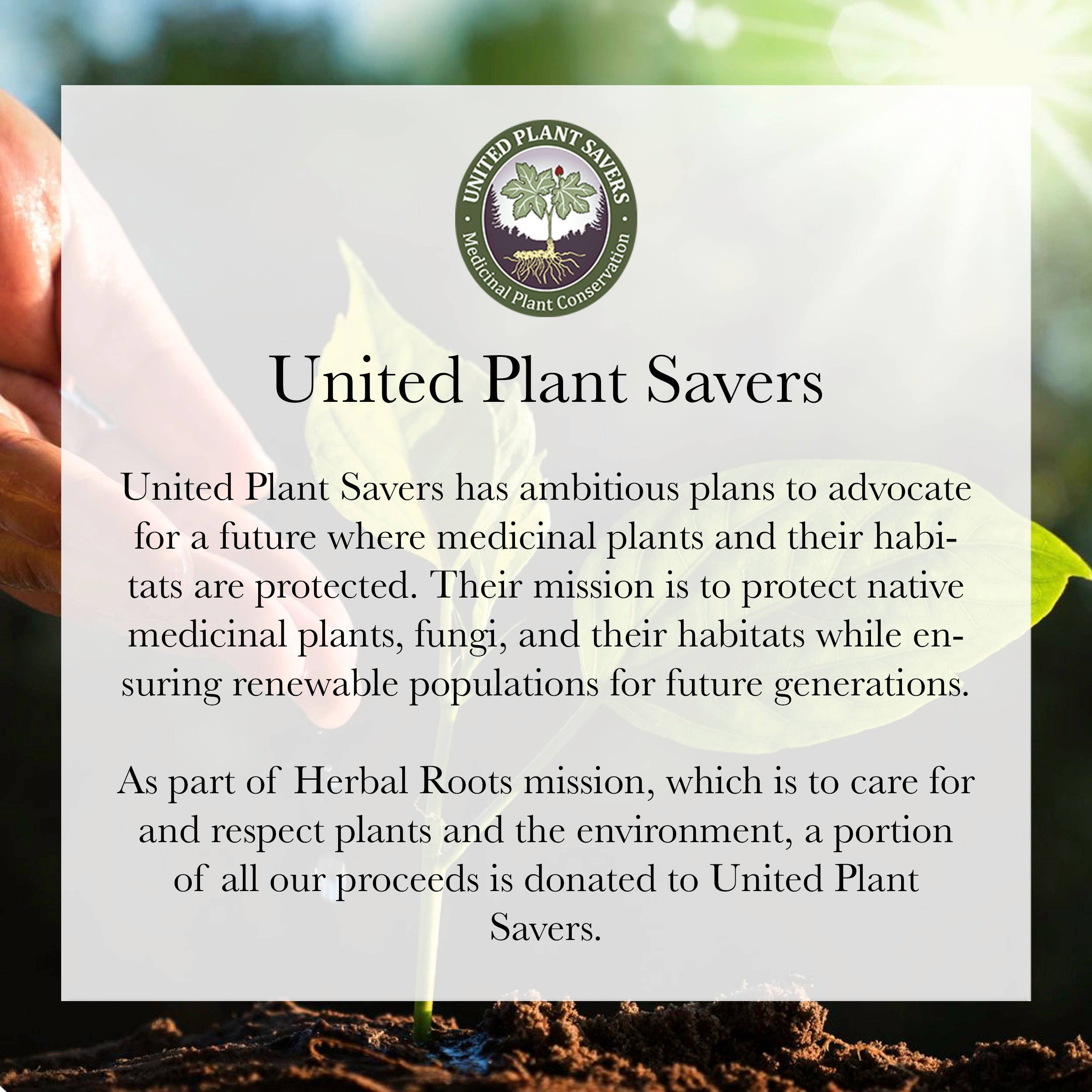 Herbal Roots - Wholesale Oral Supplement/Vitamin - Herbal Roots Organic Beet Root Capsules7