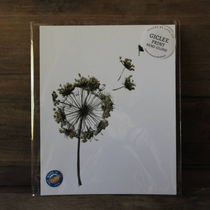 Dandelion Print for wholesale by ReLove By Love LLC