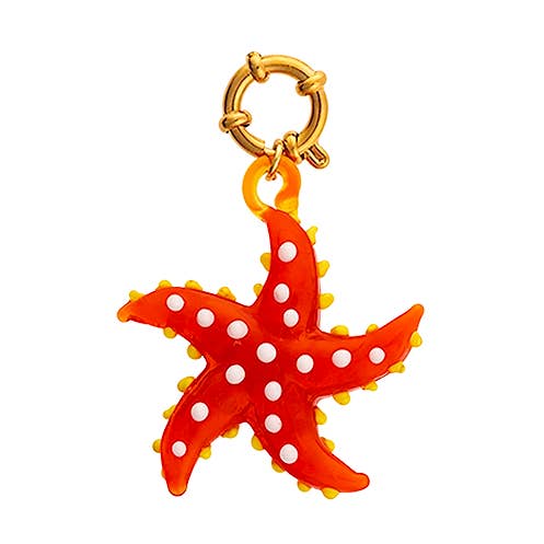 Pendentif à breloques Ocean Star pour la vente par Anneday