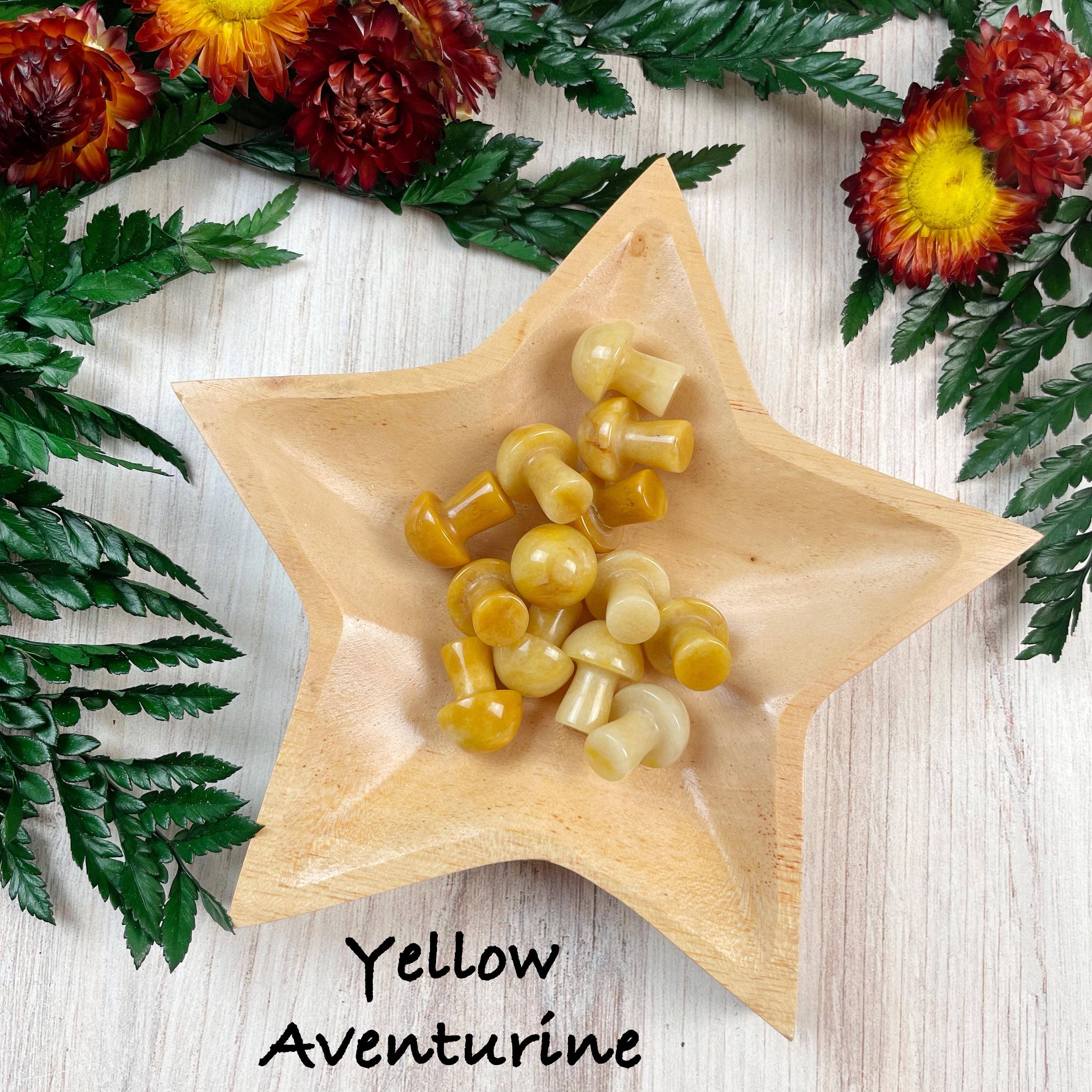 Ewelina Pas Jewelry - Wholesale Spiritual Stone/Crystal - MINI Gemstone Mushroom Pocket Stone11