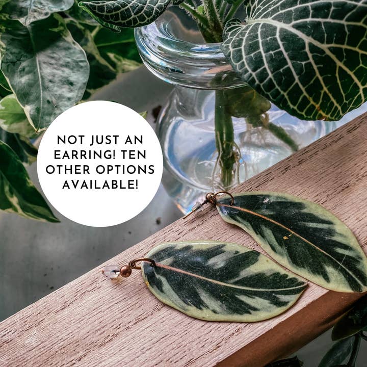 hethr - Wholesale Dangle Earrings - Variegated Rubber Plant Leaf Earring, Magnet, Pin, Decor