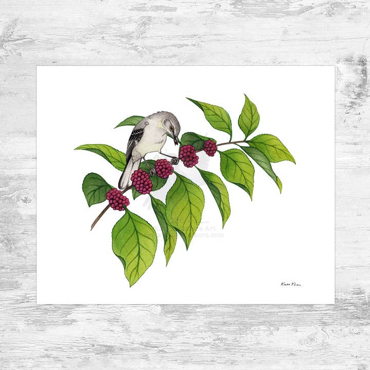 Kate Dolamore Art - Wholesale Art Print - Northern Mockingbird on Beautyberry 10x8 Art Print