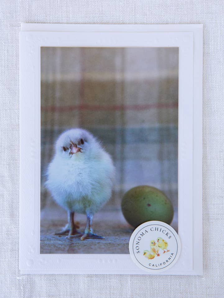 Who Came First - Rescue - Handgemaakte wenskaart voor wholesale door Sonoma Chicks