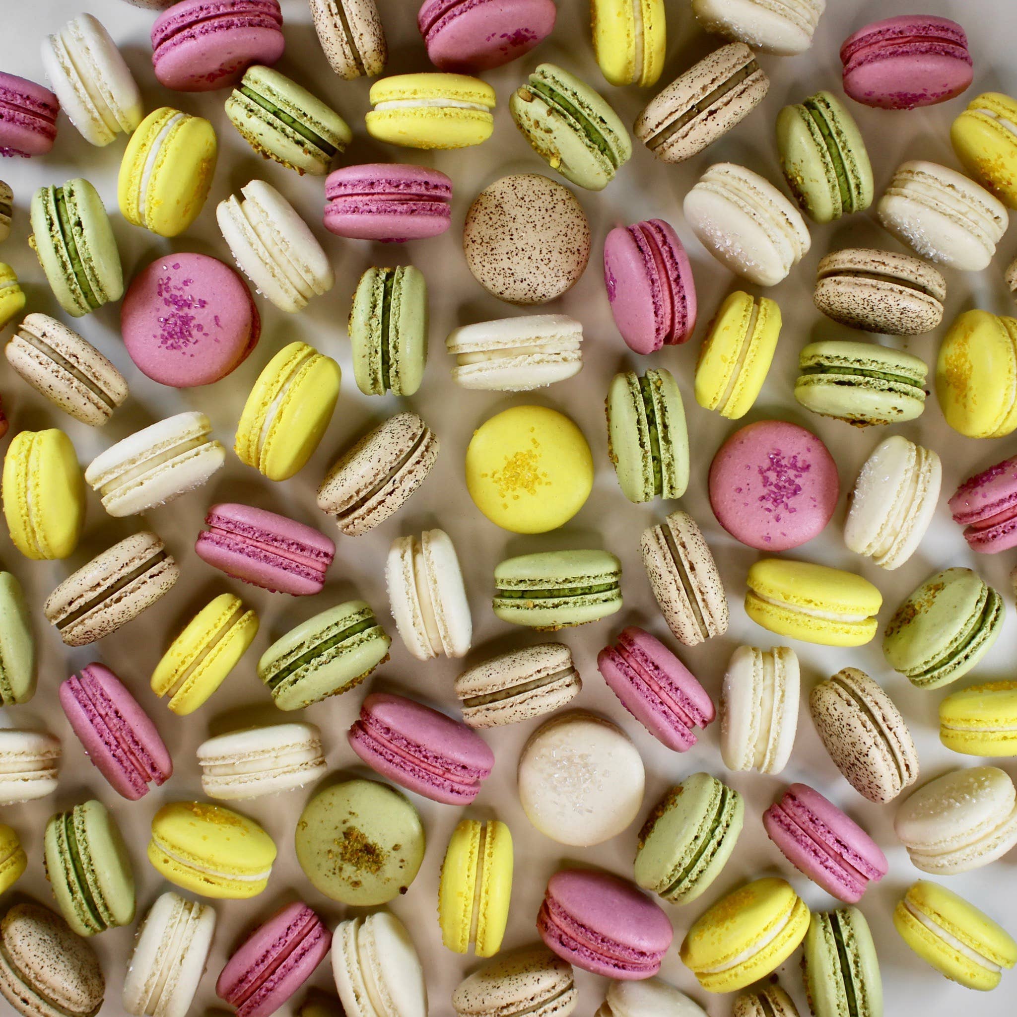 Savor Patisserie - Wholesale Cookie - The Classics Collection - Gift Box of 51