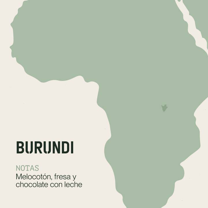 INCAPTO COFFEE – Grãos de café por atacado – Feijões Especiais de Café da BURUNDI Origin 100% Arábica3