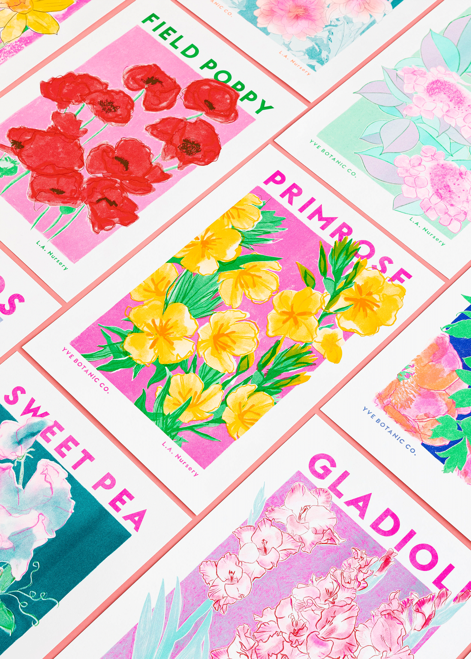 Eve Print Studio. - Vendita all'ingrosso Stampa artistica - Stampa Risograph a 3 strati del fiore di Primula2