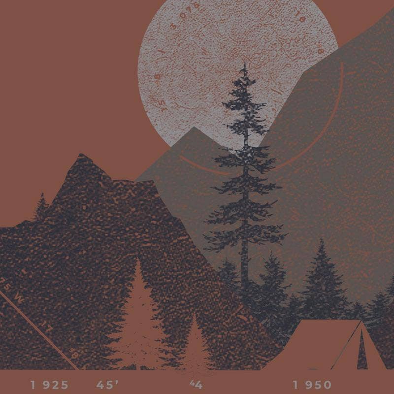 Black Lantern - Wholesale T-shirt met print - Heren - Camp & Topo T-shirt voor heren met kampeerthema1