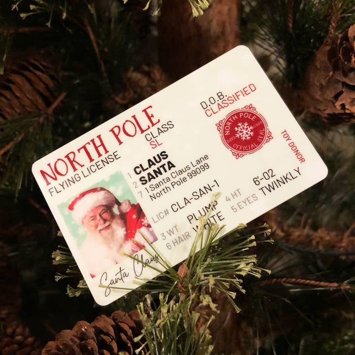 Scenic Route Design Co. - Wholesale Christmas Decoration - Santa's Lost Flying License Packaged (12)3