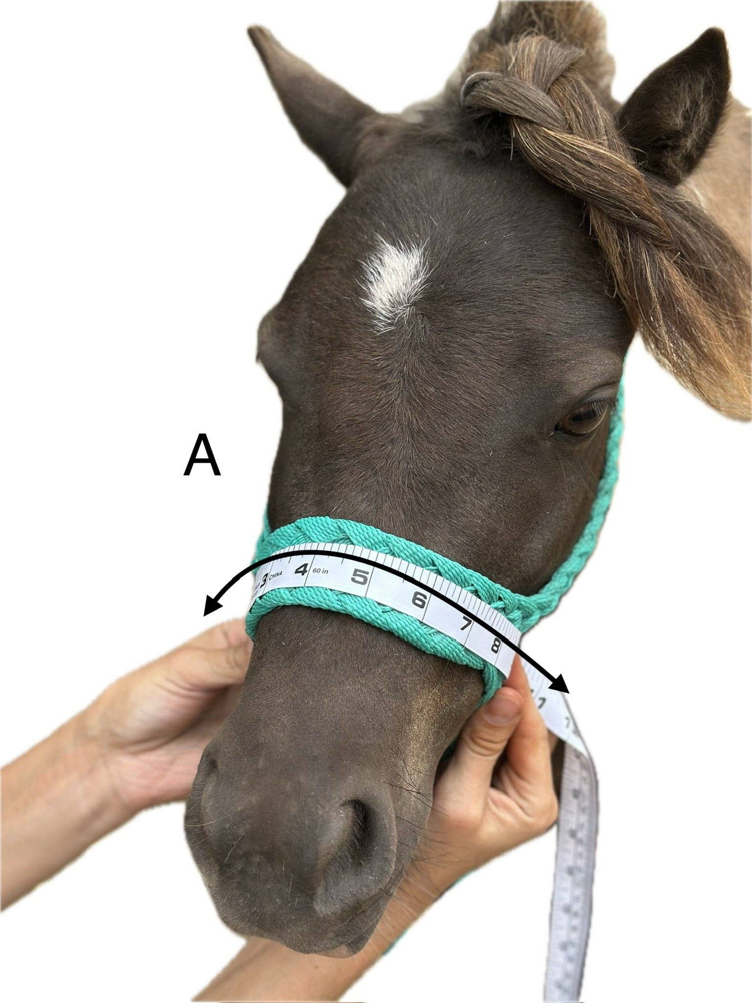 Wilder Trading Company – wholesale Horseback riding gear – Custom Halter & Lead Rope4