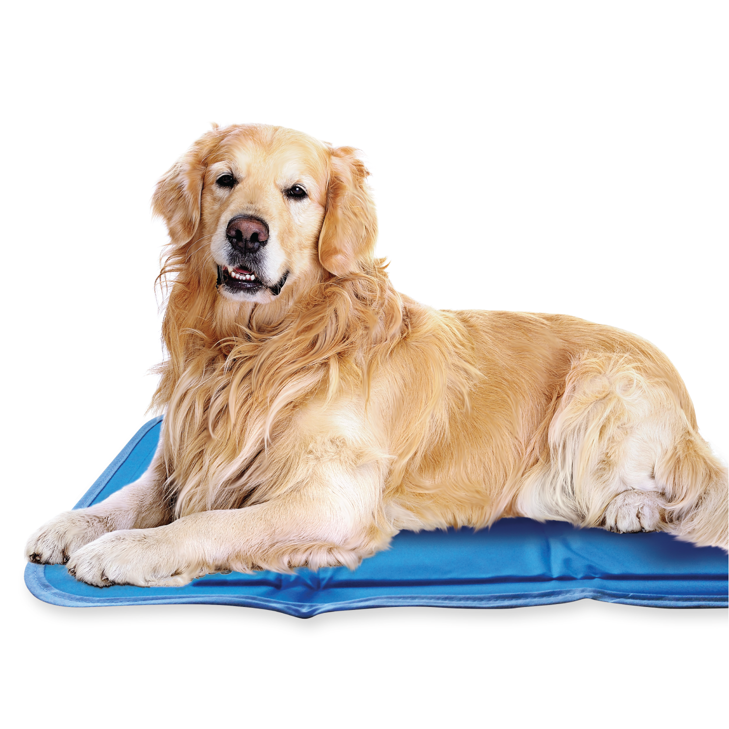 The Green Pet Shop - Wholesale Pet Bed - Dog - Cool Pet Pad3