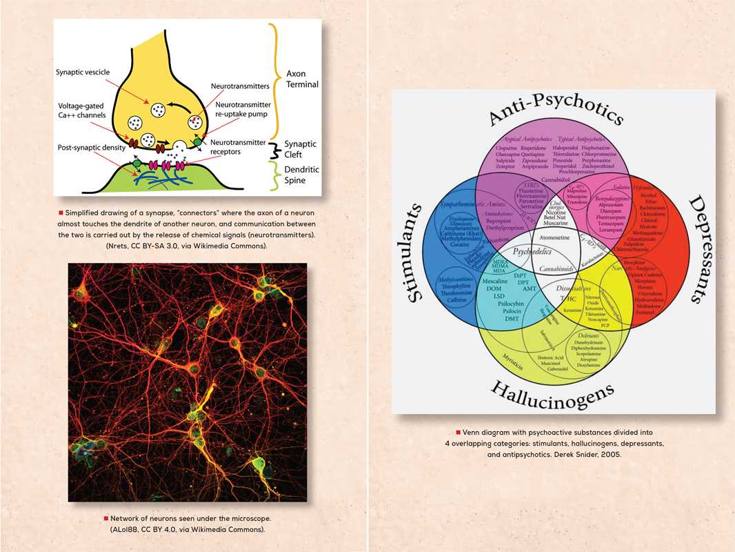 Simon & Schuster - Wholesale Medical Health - Psychedelic Reawakening by Anton Gomez-Escolar8