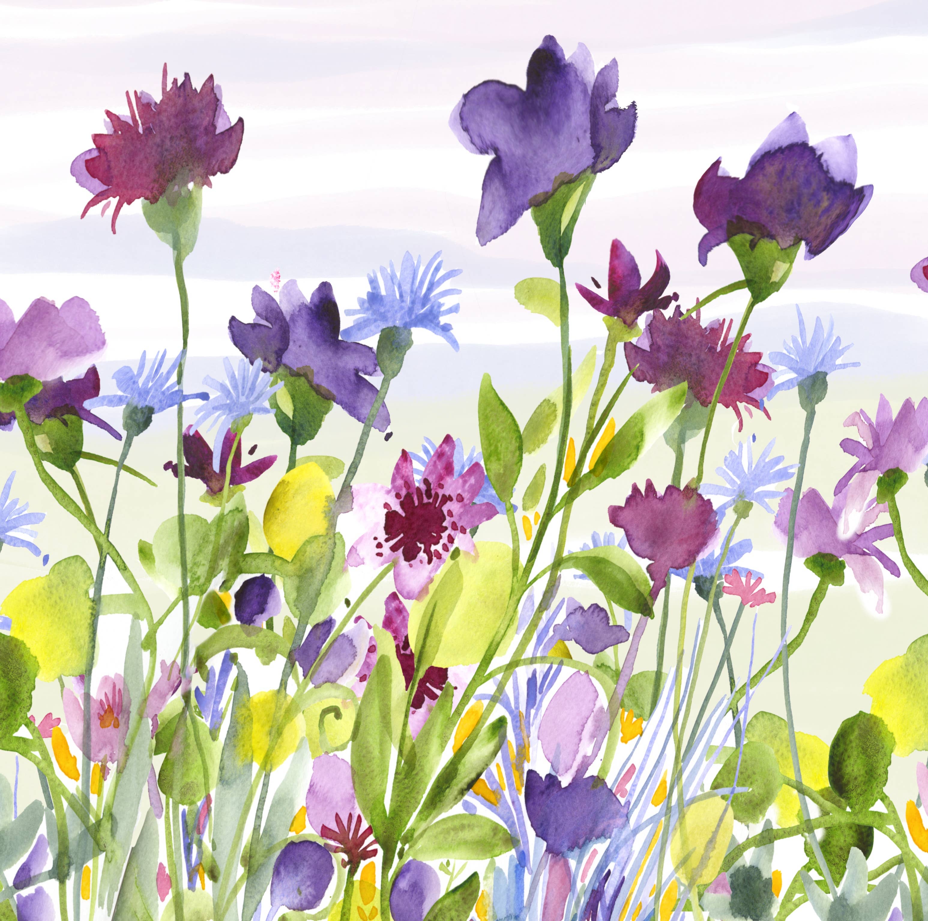 Diana Fegredo Studio - Wholesale Everyday Greeting Card - Cornflowers Greetings Card 1