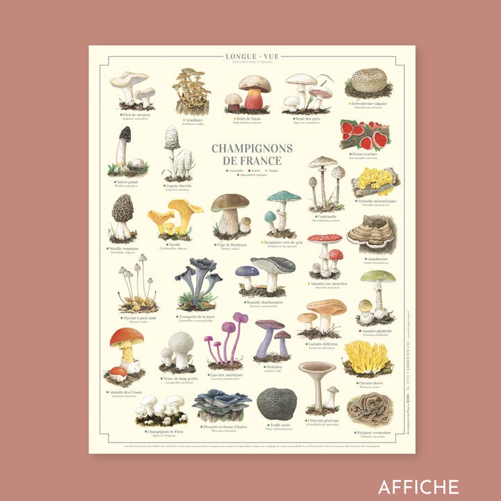 Franske svampe - Plakat for engroshandel hos Longue-vue