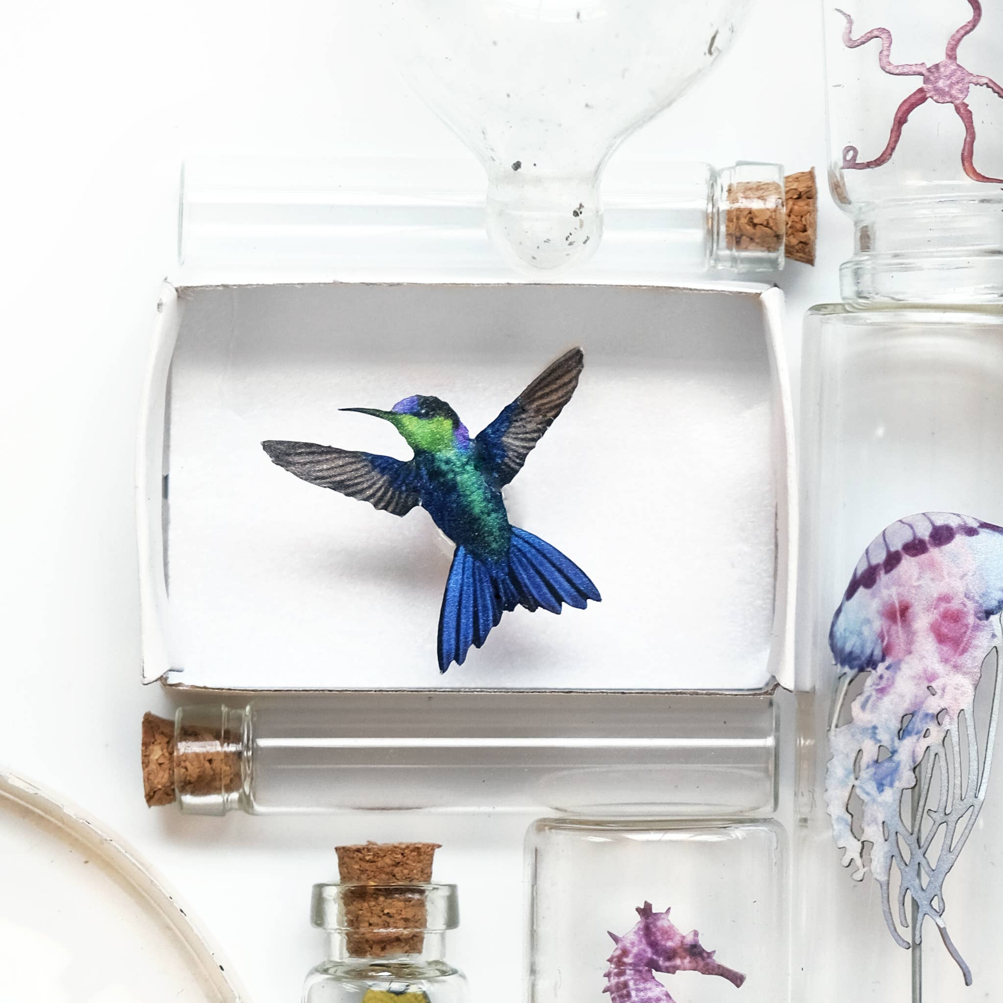 Moth and Myth - Wholesale Decorative Figurine - 'Biophilia' Micro Specimen Collection6