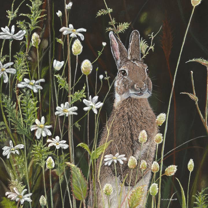Tryck av originalet 'Daisy' för wholesale av Michelle Hewitt Wildlife Artist