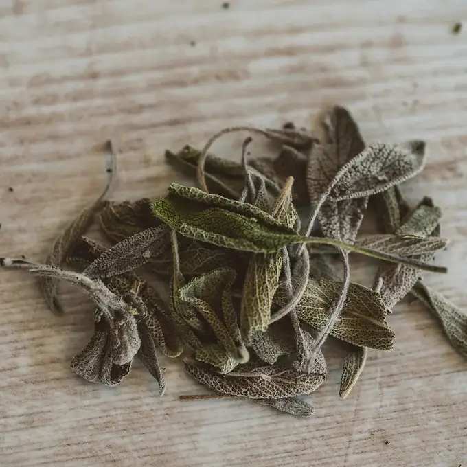 SEVEN SENSES ORGANIC – wholesale Loose tea – 1 Lb Bulk Organic Greek Sage Tea: Tea for cramps3