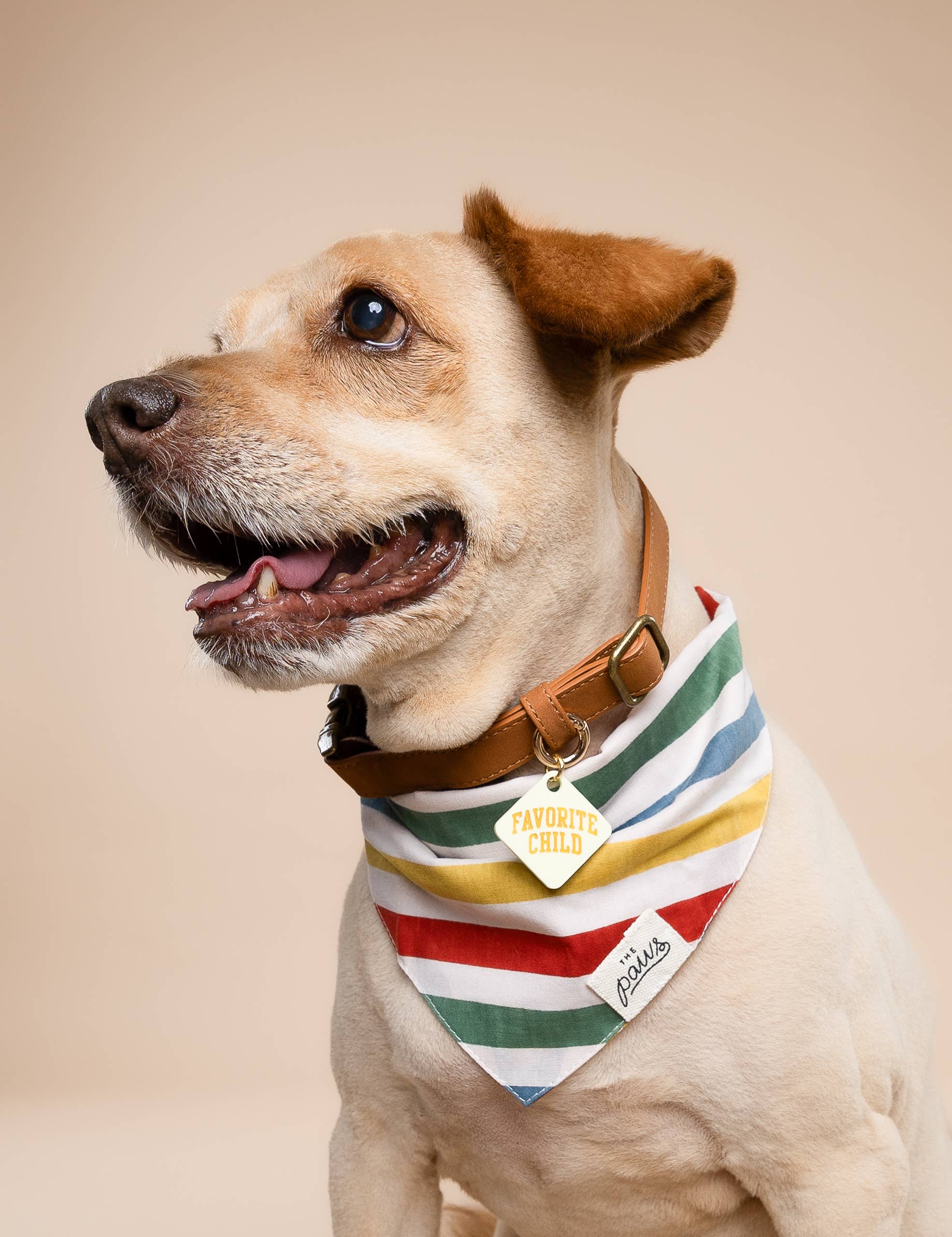 The Paws - Wholesale Pet Bandana - Dog - Frontier Dog Bandana1