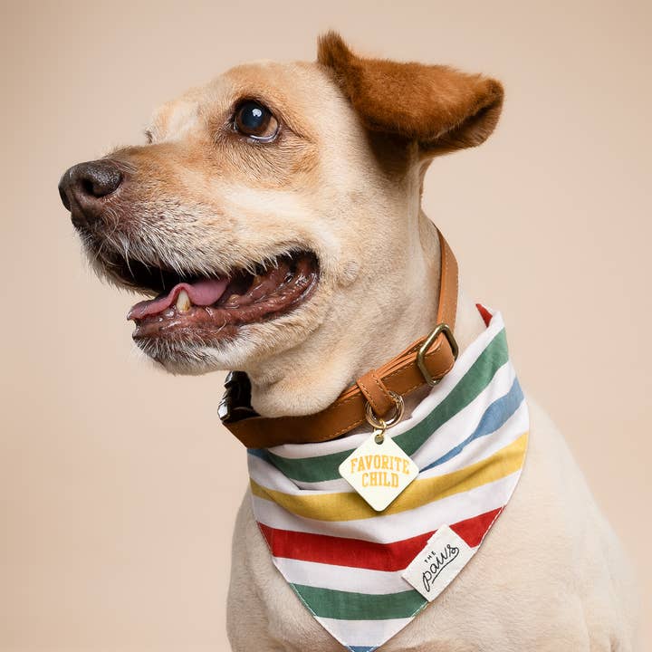 The Paws - Wholesale Pet Bandana - Dog - Frontier Dog Bandana1