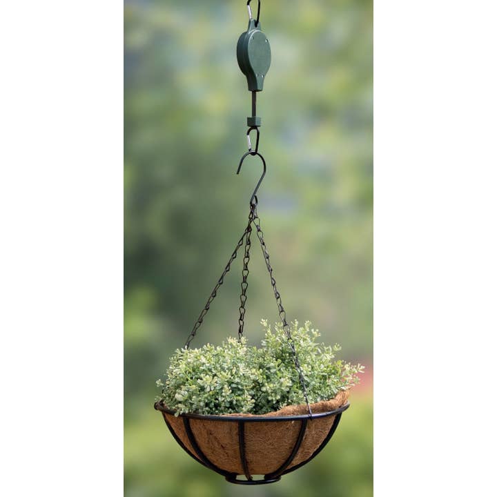 NACH - Vente Jardinière suspendue - Panier suspendu en métal 12"3